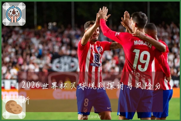 2026世界杯买球规则探讨与风险分析