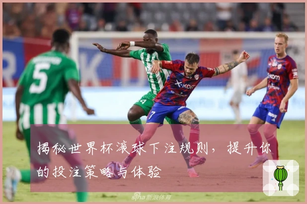 揭秘世界杯滚球下注规则，提升你的投注策略与体验
