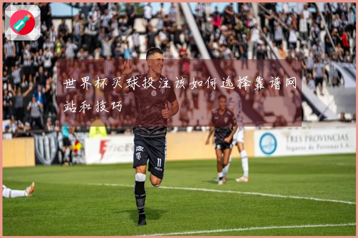 世界杯买球投注该如何选择靠谱网站和技巧