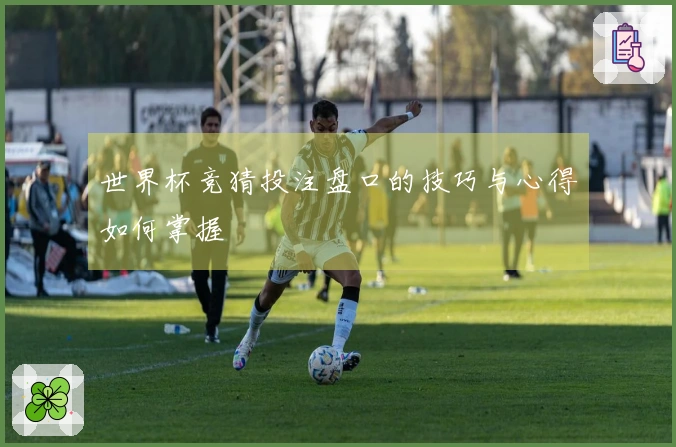世界杯竞猜投注盘口的技巧与心得如何掌握