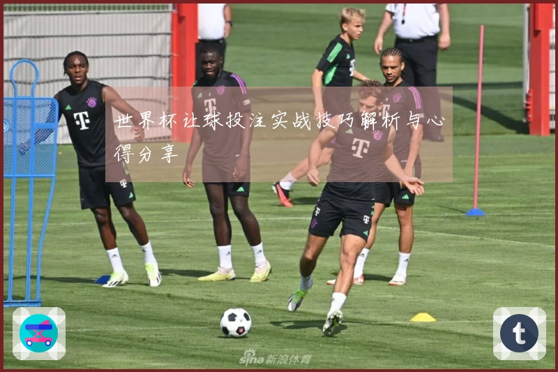 世界杯让球投注实战技巧解析与心得分享