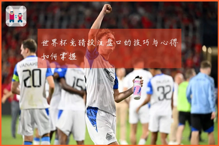 世界杯竞猜投注盘口的技巧与心得如何掌握