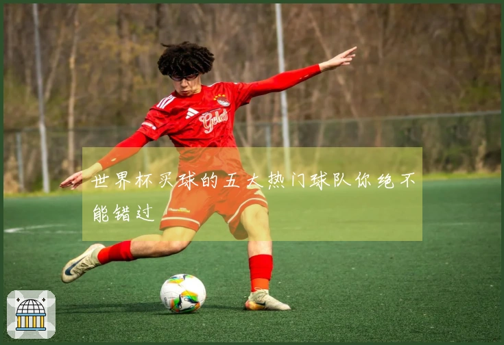 世界杯买球的五大热门球队你绝不能错过